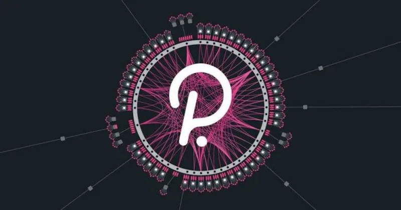 什么是Polkadot(DOT币)?DOT未来发展前景与价格预测 - php中文网